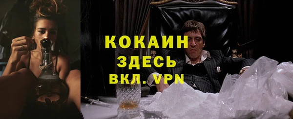 прущий лед Белокуриха