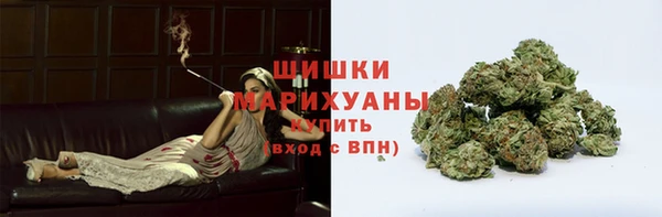 прущие грибы Вязники