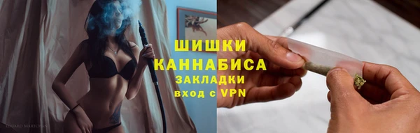 скорость Ладушкин