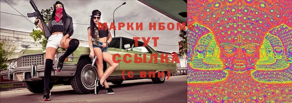 прущие грибы Вязники