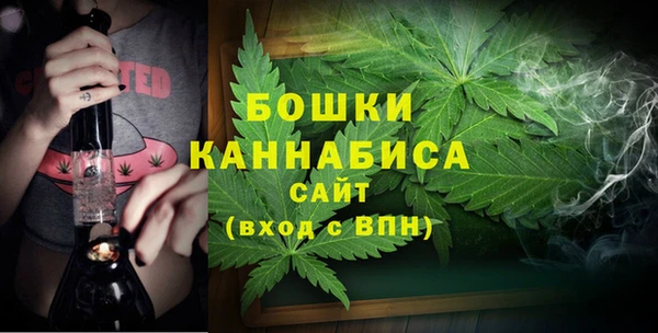 стафф Вязьма