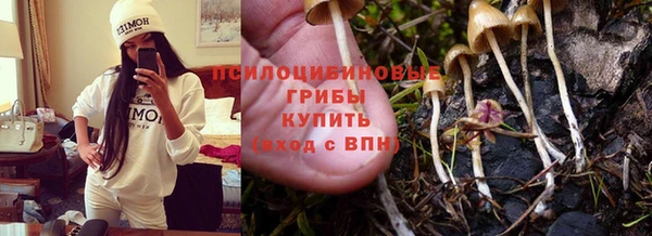 скорость Ладушкин