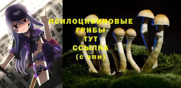 СК Белоозёрский