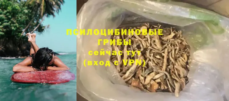 где можно купить наркотик  Иланский  omg сайт  Псилоцибиновые грибы MAGIC MUSHROOMS 