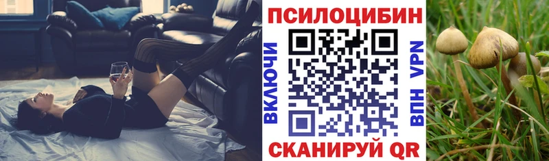 закладки  Иланский  ссылка на мегу онион  Галлюциногенные грибы GOLDEN TEACHER 